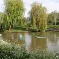 IMG_897841