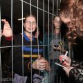 IMG_898417