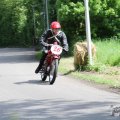 IMG_899164