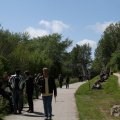 IMG_899176