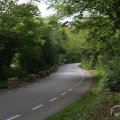 IMG_899531