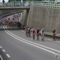 IMG_901861
