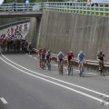 IMG_901862