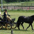 IMG_902379