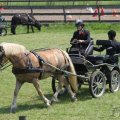 IMG_902390