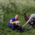 IMG_902419