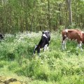 IMG_902448