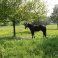 IMG_902468