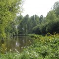 IMG_902478