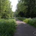 IMG_902483