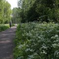 IMG_902487
