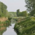 IMG_902499