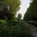 IMG_902505