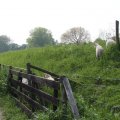 IMG_902524