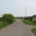 IMG_902531