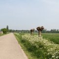 IMG_902532