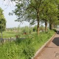 IMG_902543