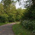 IMG_902557