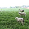 IMG_902626