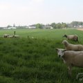 IMG_902627