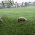 IMG_902628