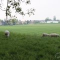 IMG_902629