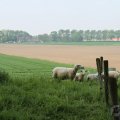 IMG_902631