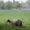 IMG_902632