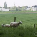 IMG_902633