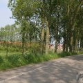 IMG_902639