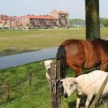 IMG_902647