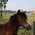 IMG_902651