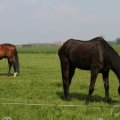 IMG_902663