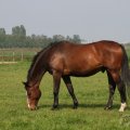 IMG_902664
