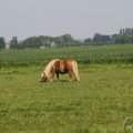 IMG_902666