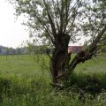 IMG_902680