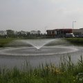 IMG_902686