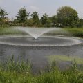 IMG_902689