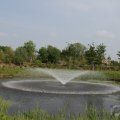 IMG_902691
