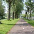 IMG_902694