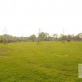 IMG_902768