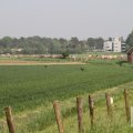 IMG_902817