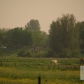 IMG_902890