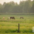 IMG_902996
