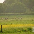 IMG_903056