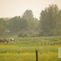 IMG_903091