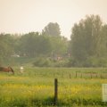 IMG_903099