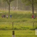 IMG_903136