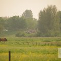 IMG_903139