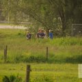 IMG_903143